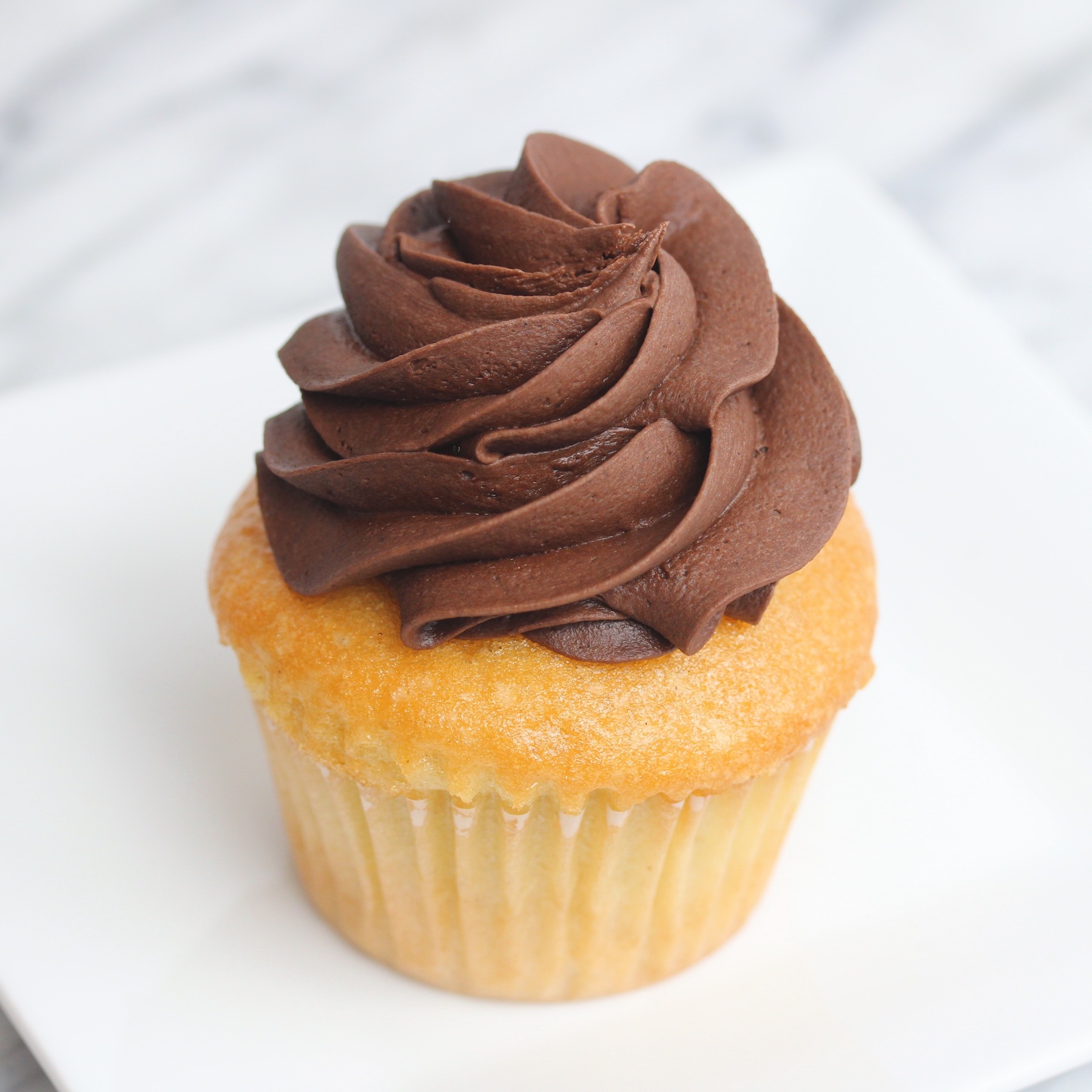 Vanilla with Chocolate Frosting